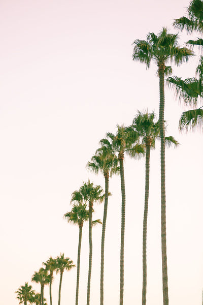 California Ladies