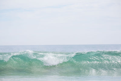 Crystal Cove Wave