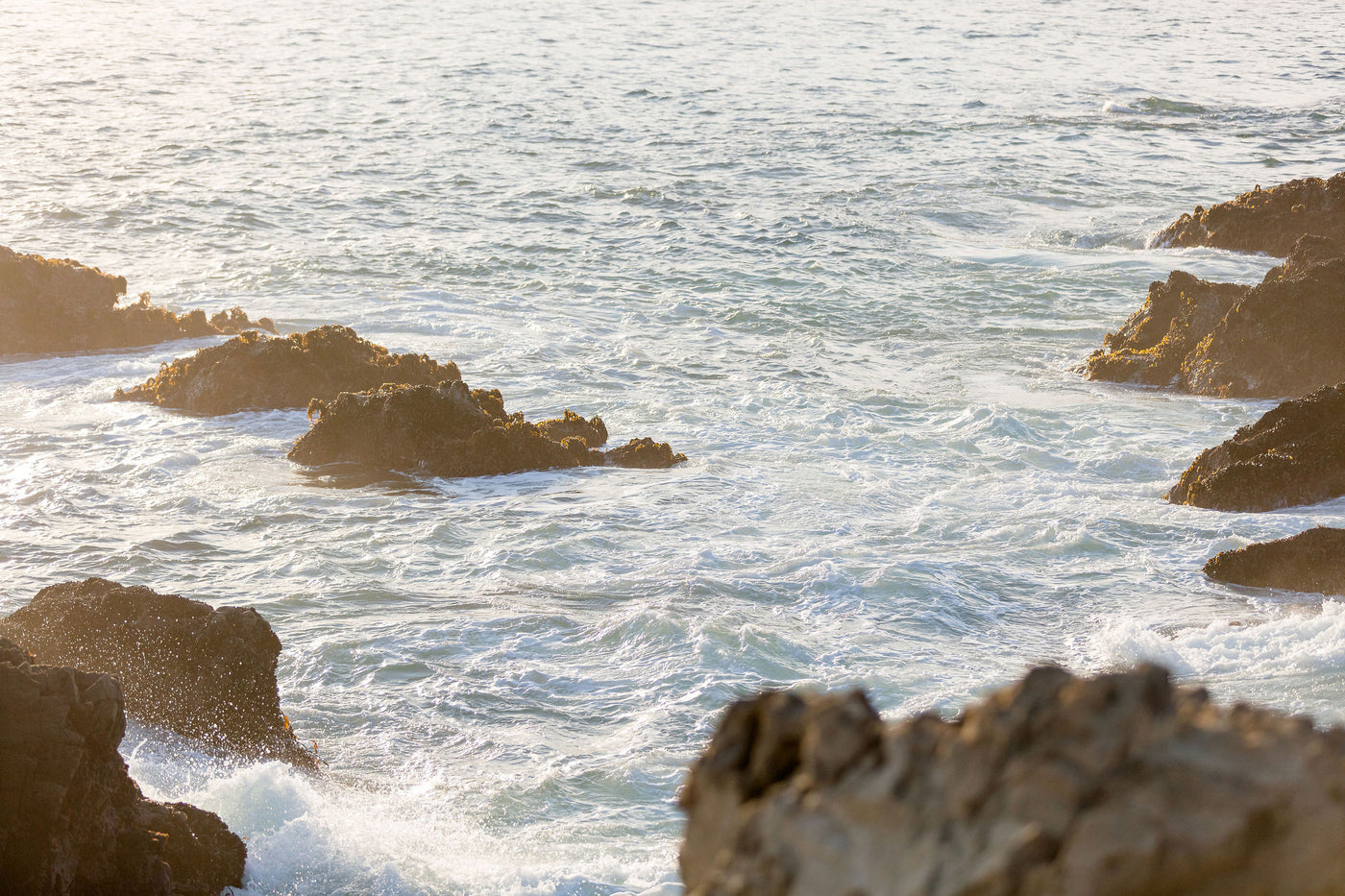 Sea Ranch Bluffs