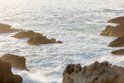 Sea Ranch Bluffs