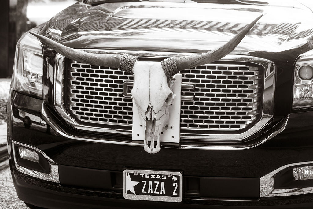 Texas Longhorns