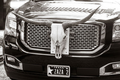 Texas Longhorns