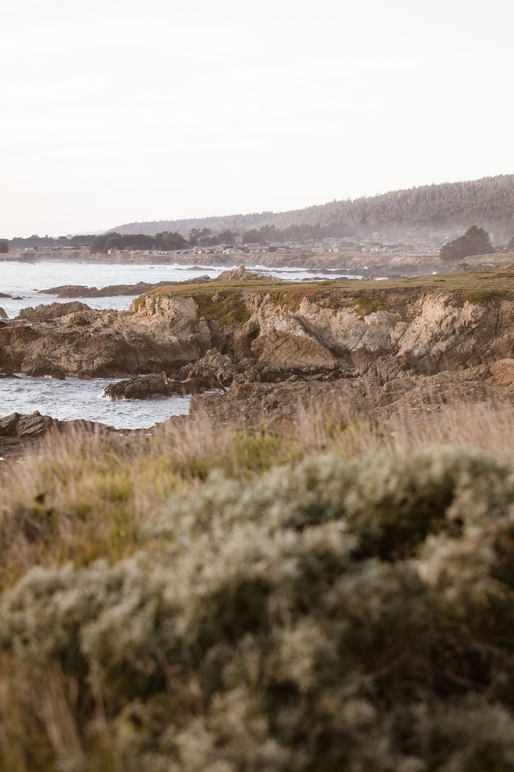 Fall Seascape