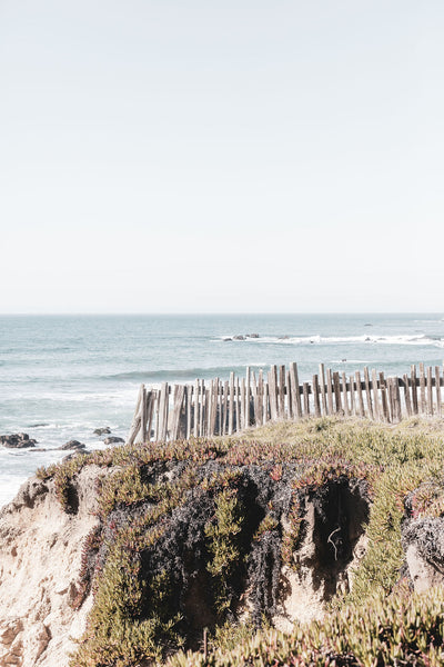 Sea Ranch Vista