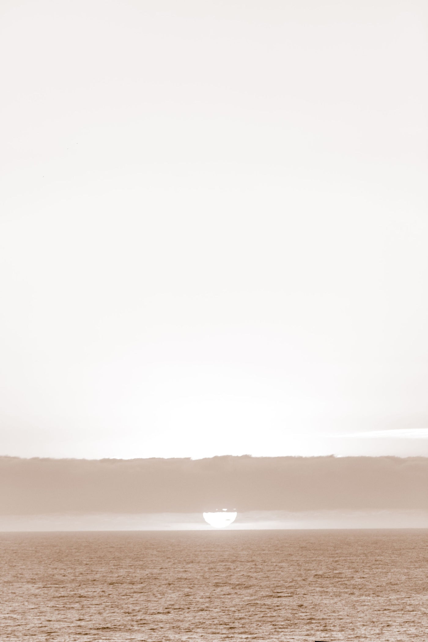 Sea Ranch Sunset