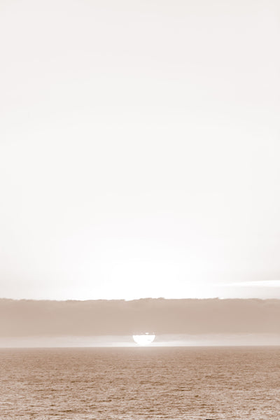 Sea Ranch Sunset