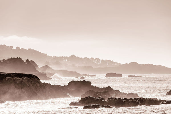 CarlyTabakPhotography-