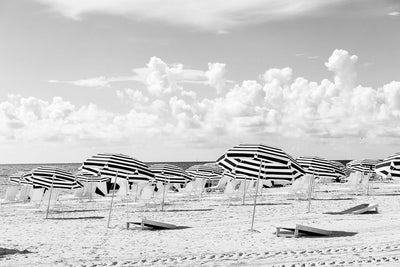 Miami Beach Black and White Umbrellas