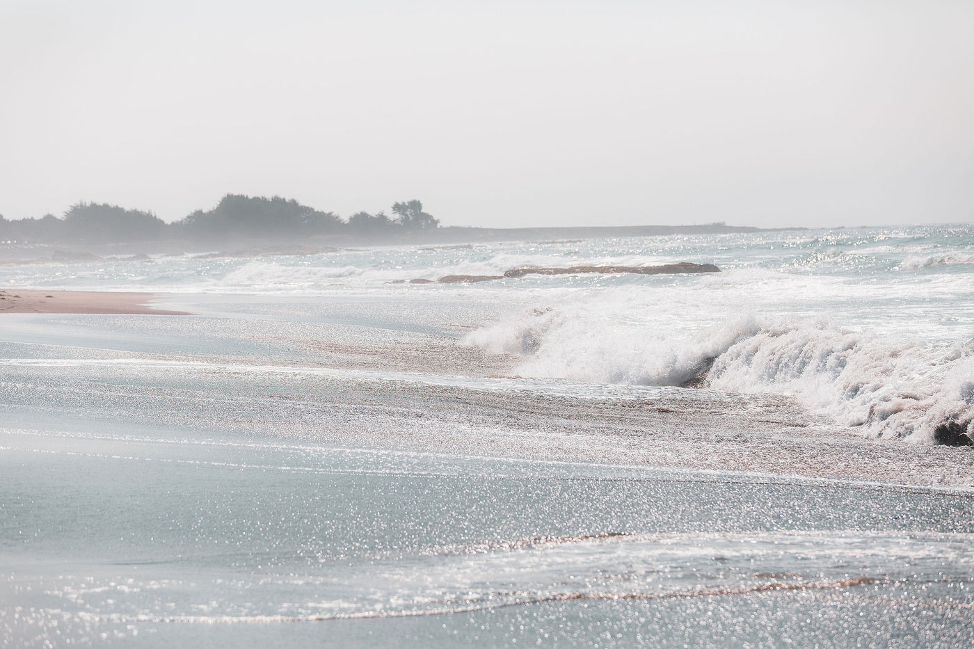 Mendocino Sea Spray