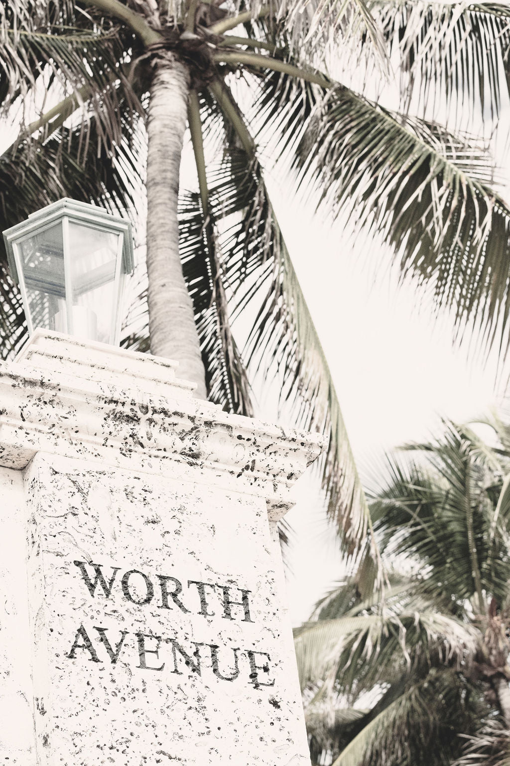 Worth Avenue Palm Beach