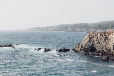 Mendocino Bluffs