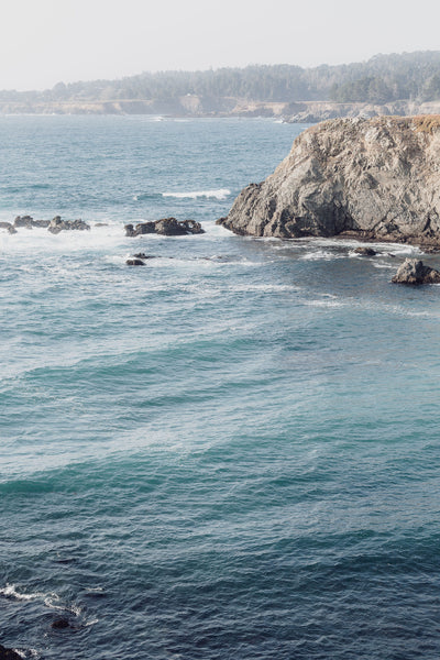 Mendocino Bluffs 2