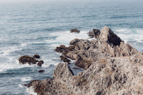 Mendocino Bluffs 4 | Framed Photography Wall Art by Carly Tabak