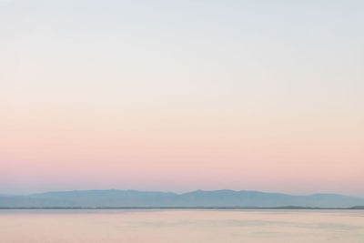Pink Skies