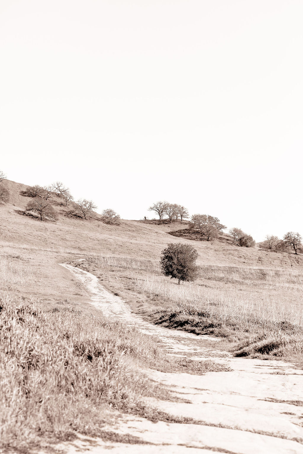 Sepia Trail