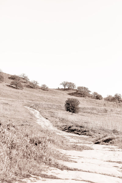 Sepia Trail