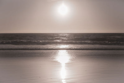 Metallic Sunset