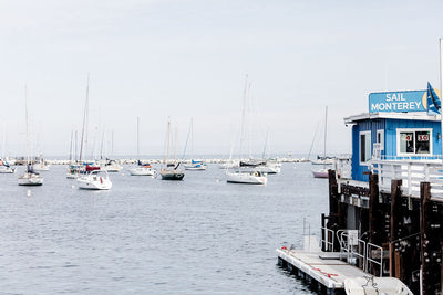 Sail Monterey