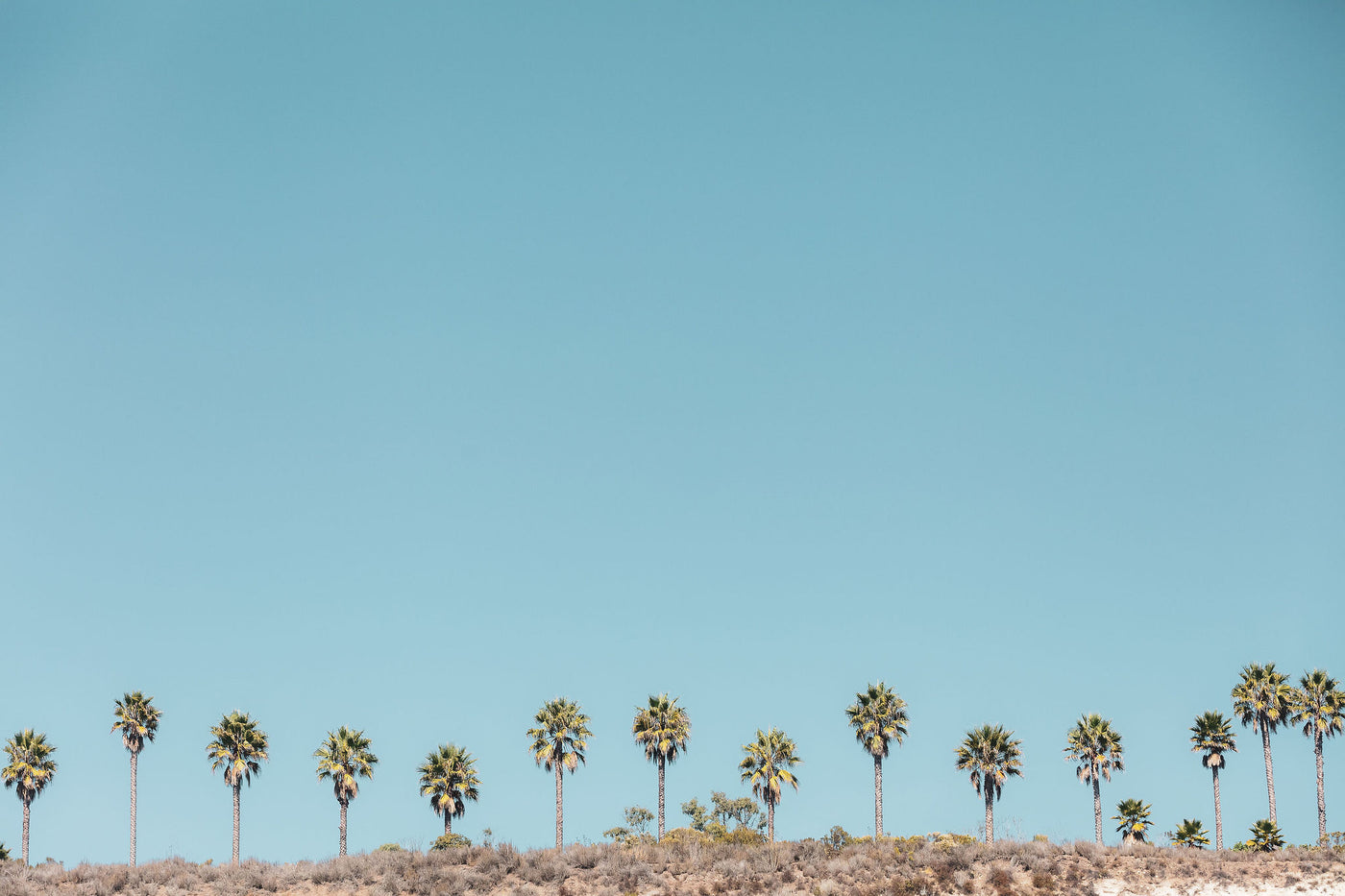 Santa Barbara Palms 3