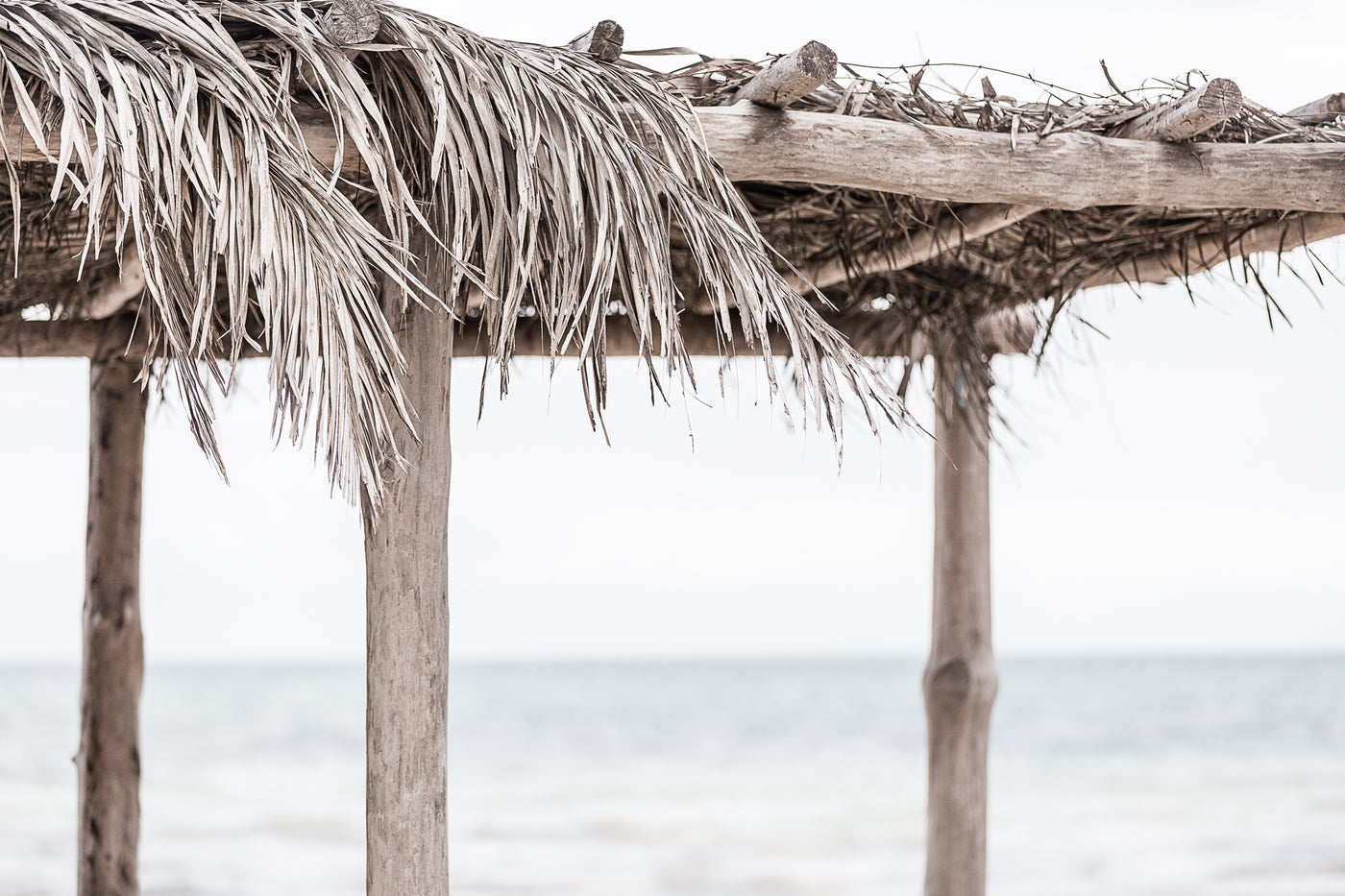 Palapa