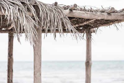 Palapa