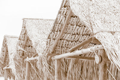 Palapa 2