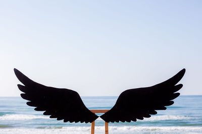 Fly Away