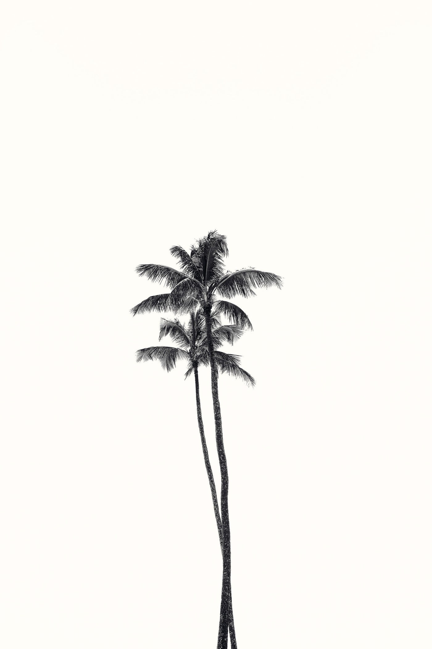 California Lovers