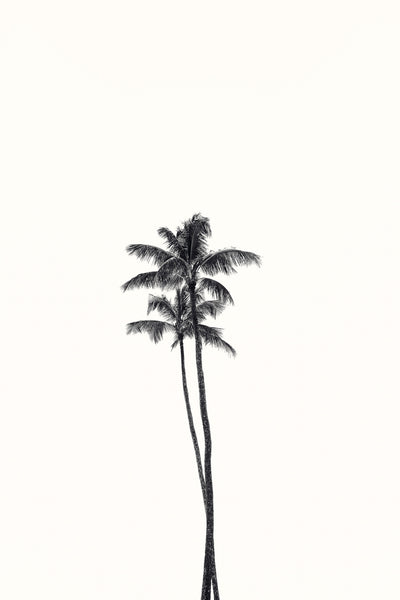 California Lovers