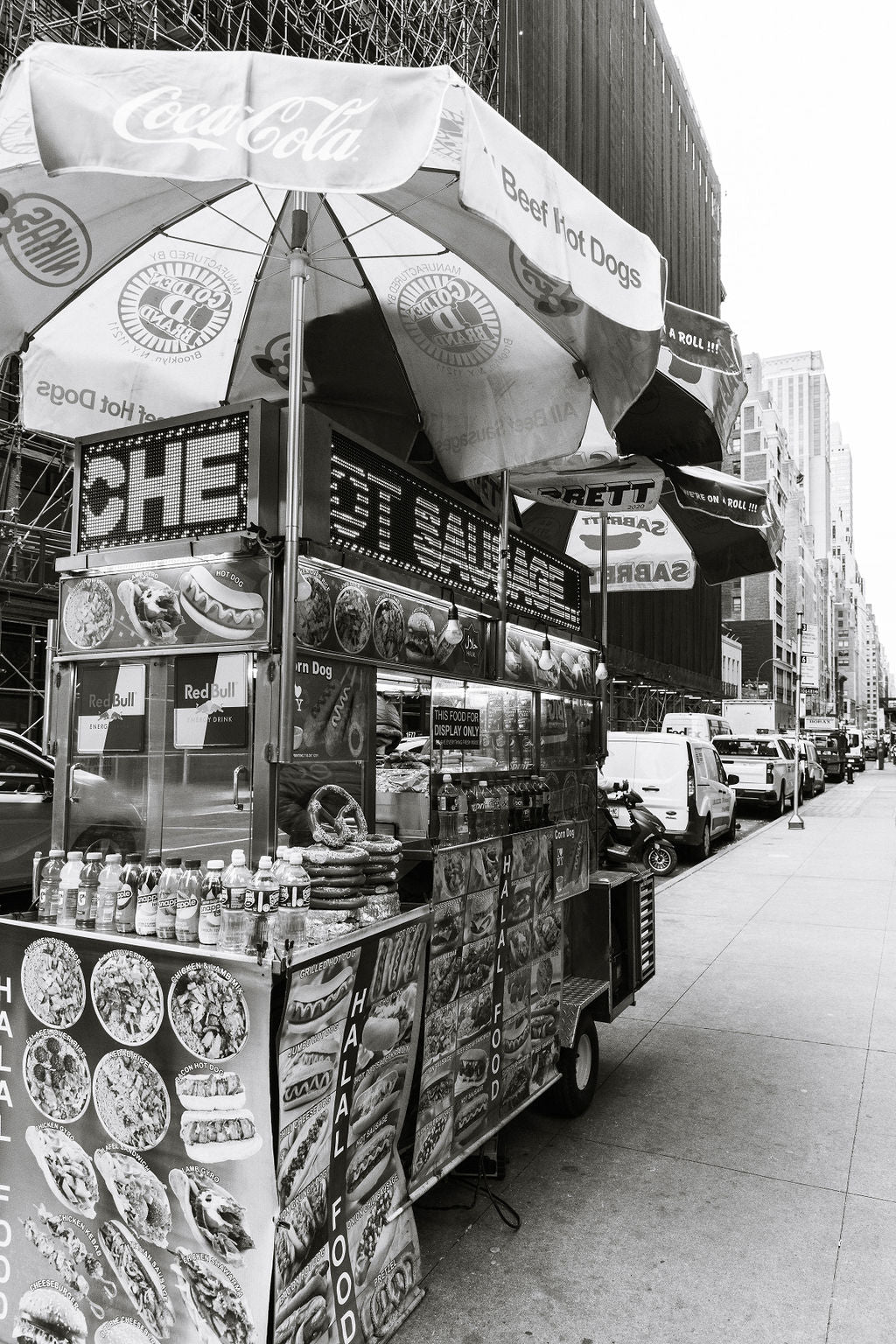 NY Street Dog