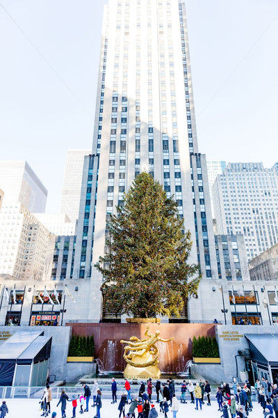 Rockefeller New York