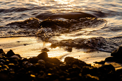Sunset Shore