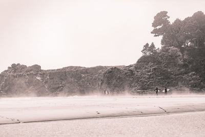 Mendocino Surfers