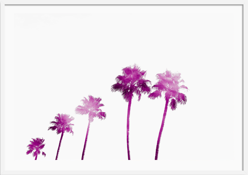 Pink Palms