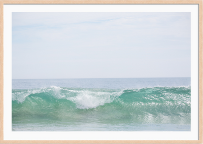 Crystal Cove Wave
