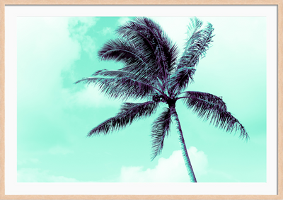 Electric Green Palm