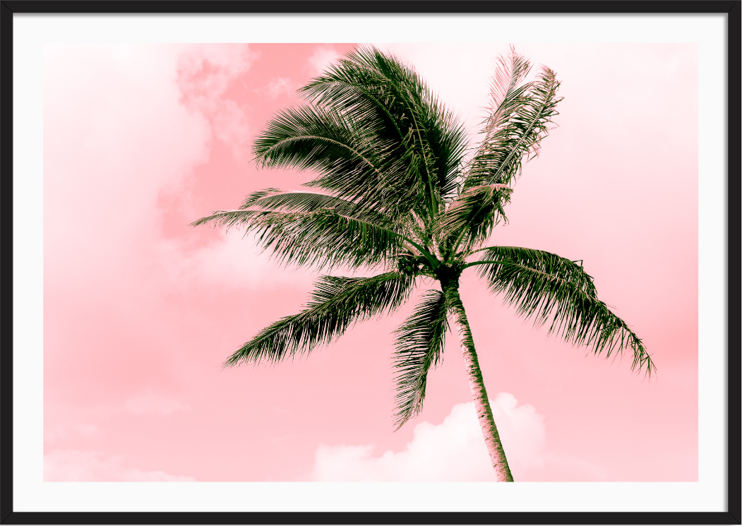 Electric Pink Palm