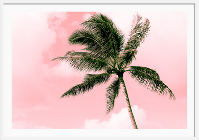 Electric Pink Palm