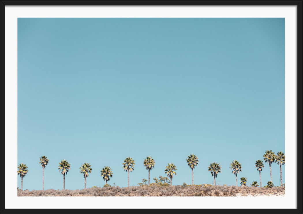 Santa Barbara Palms 3