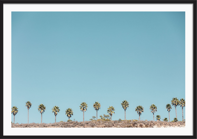 Santa Barbara Palms 3