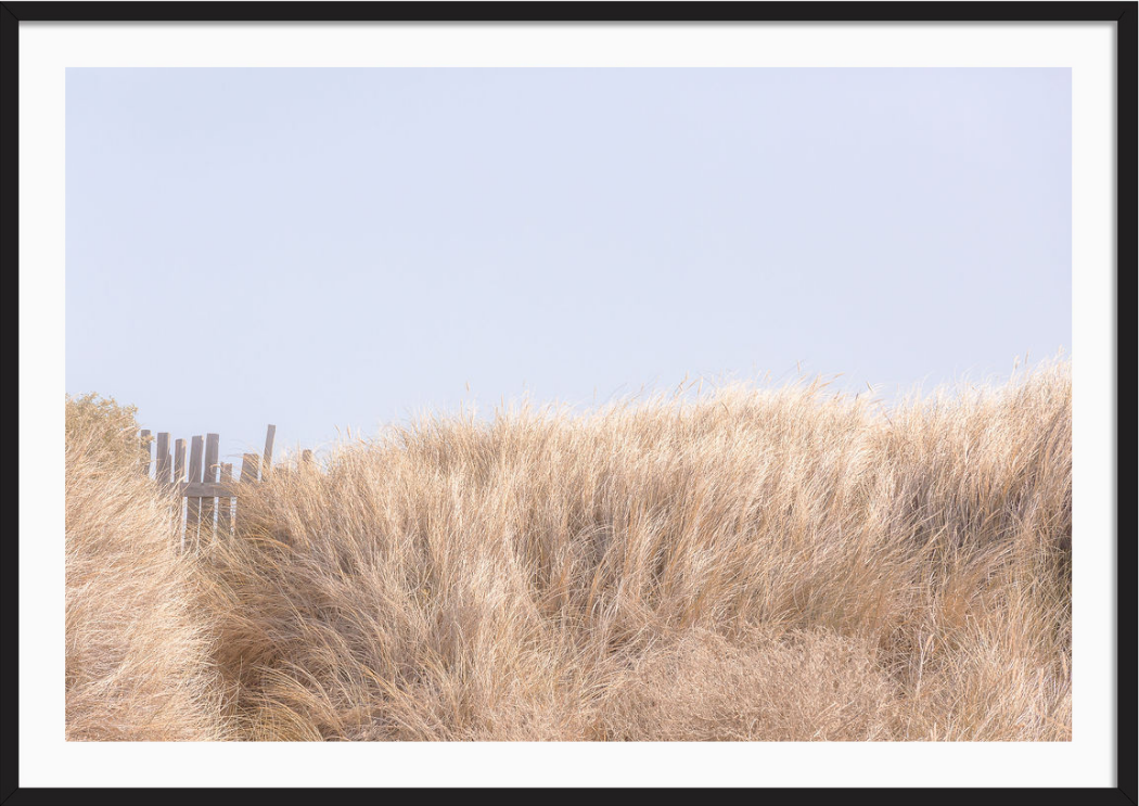 Golden Brush