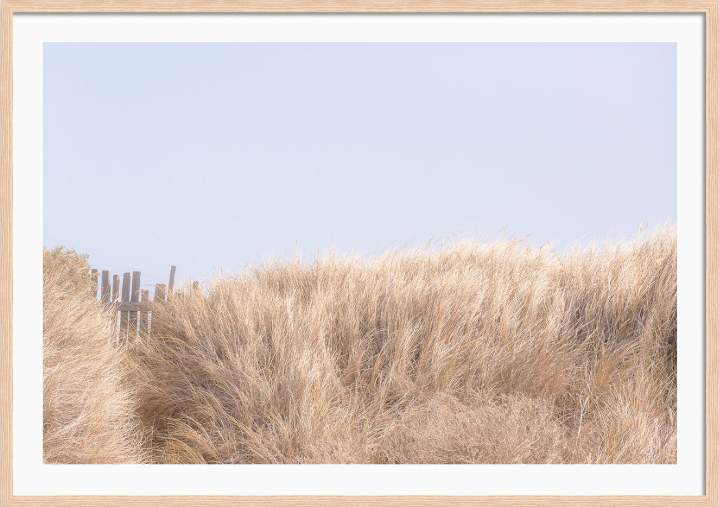 Golden Brush