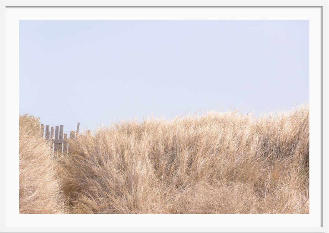 Golden Brush