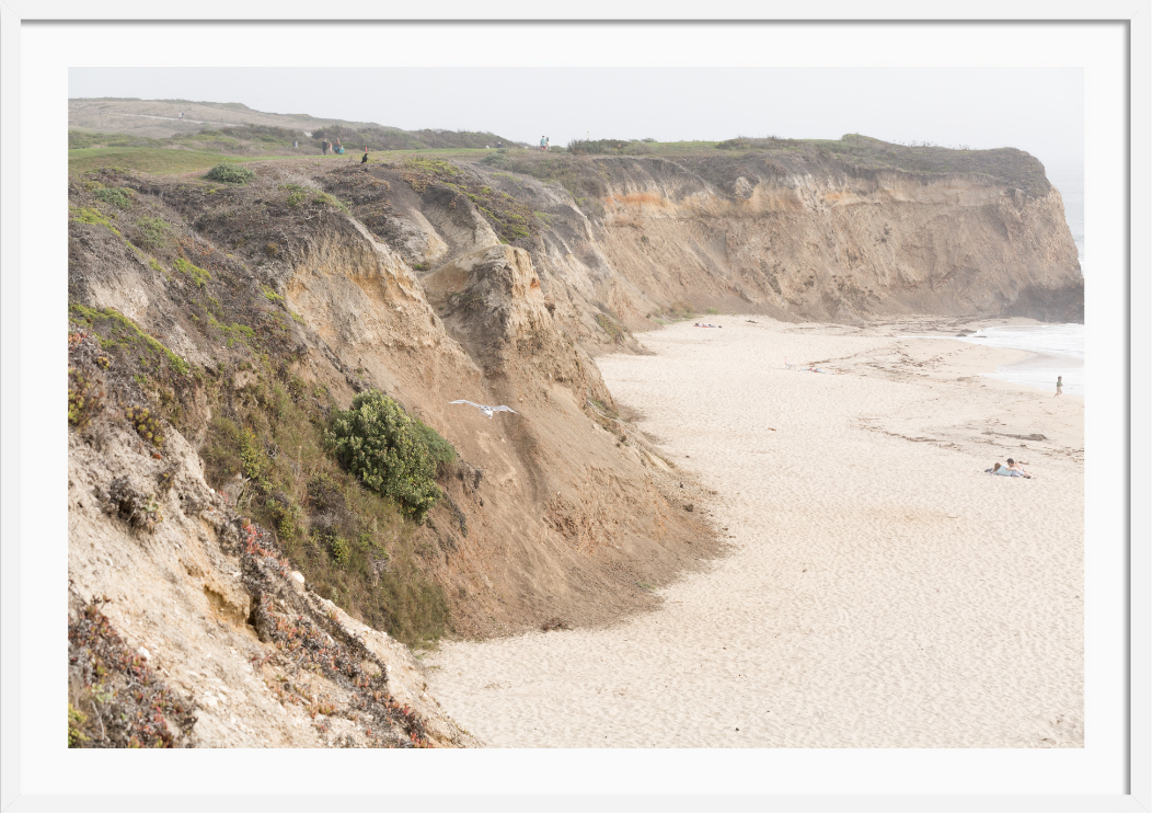 Half Moon Bay Cove