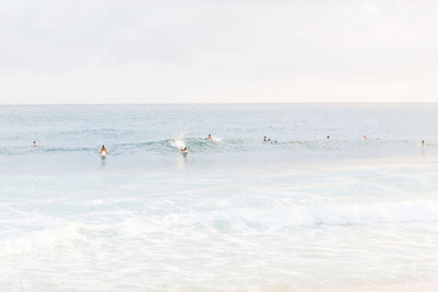 Hawaiian Surfers