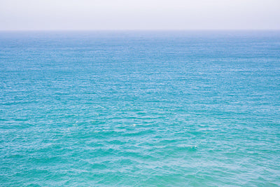 Blue Crush