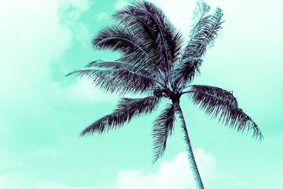 Electric Green Palm
