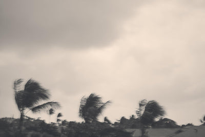 Quiet Storm