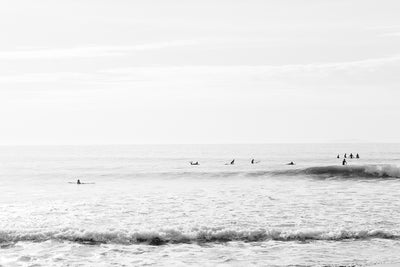 Santa Barbara Surfers Delight