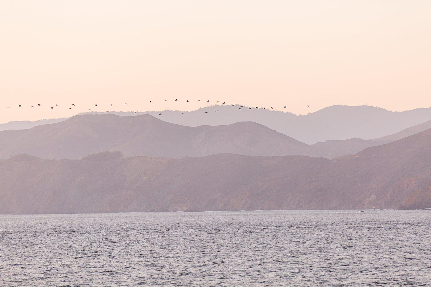 Sunset Flight